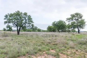 Ovalo, TX 79541