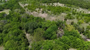 Peaster, TX 76088