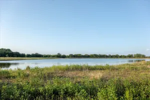 Carbon, TX 76435