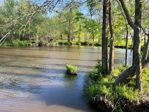 Lake Creek, TX 75450