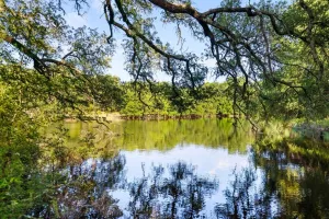Gatesville, TX 76528
