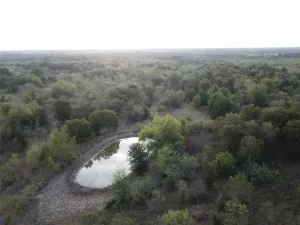 Mexia, TX 76667