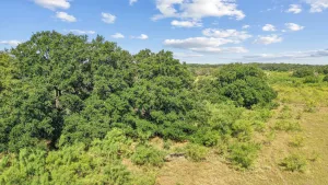 Tolar, TX 76476