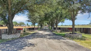 Tioga, TX 76271