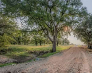 Jonesboro, TX 76538