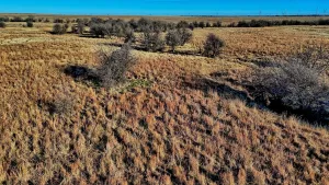Petrolia, TX 76377