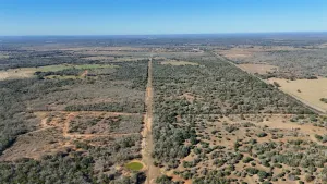 Gonzales, TX 78632