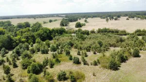 Terrell, TX 75161