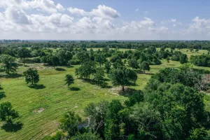 Mexia, TX 76667