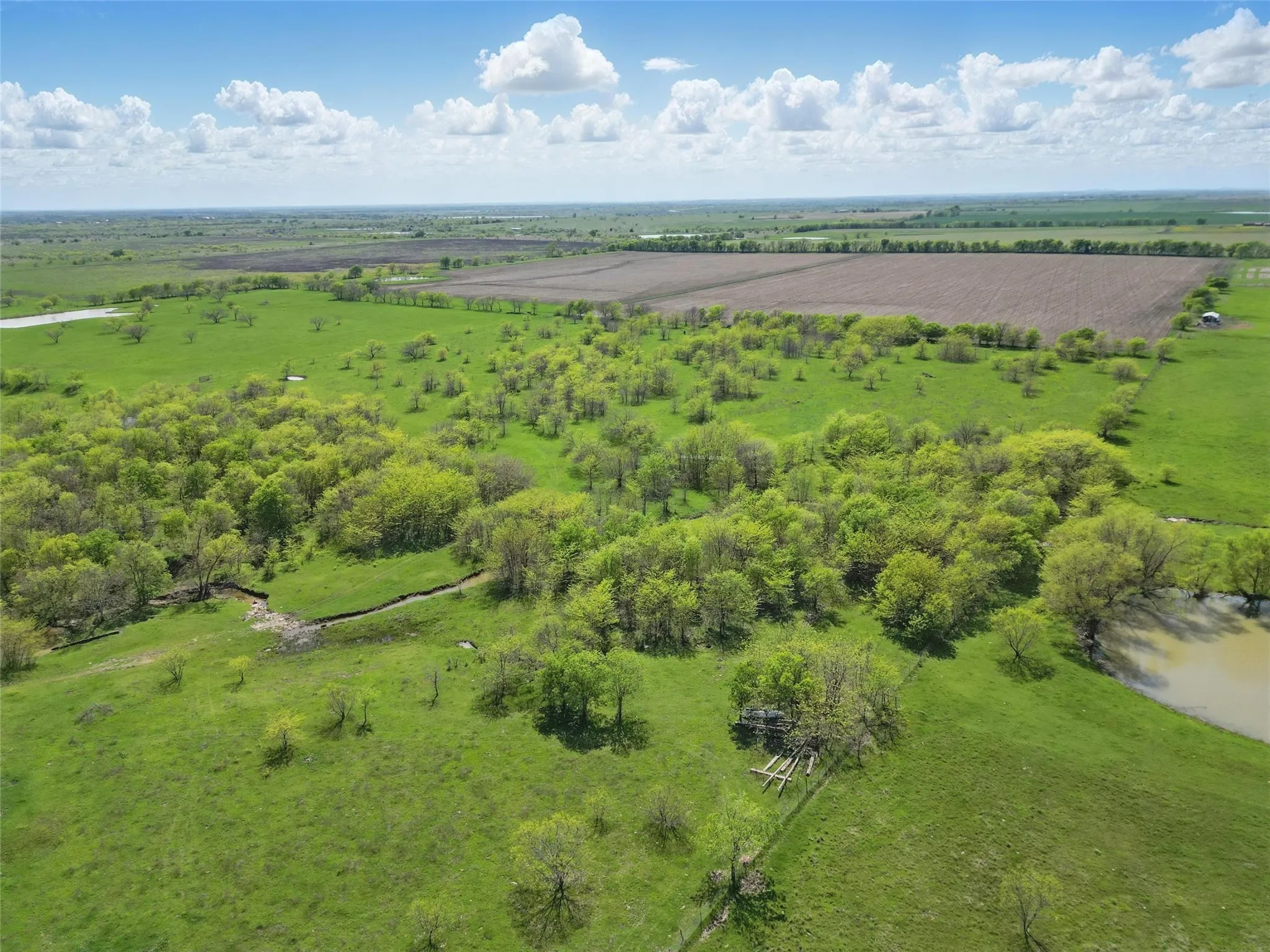 Gunter, TX 75058