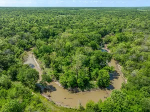 Edgewood, TX 75117