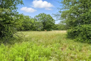 Jacksboro, TX 76458