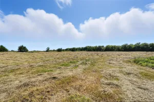 Farmersville, TX 75442