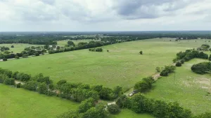 Mabank, TX 75147
