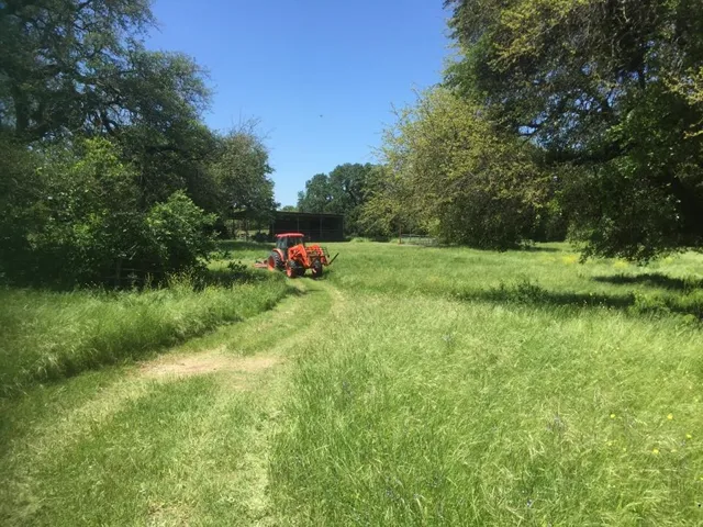 Bluff Dale, TX 76433