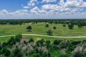 Mexia, TX 76667