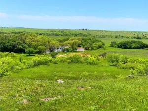 Bowie, TX 76230