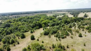 Terrell, TX 75161
