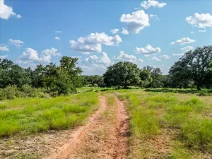 Carbon, TX 76435