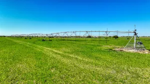 Dublin, TX 76446