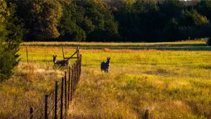 Collinsville, TX 76233