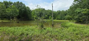 Kerens, TX 75144