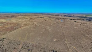 Petrolia, TX 76377