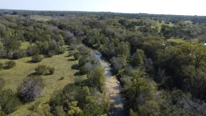 Carlton, TX 76436