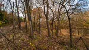 Whitesboro, TX 76273