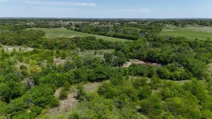 Peaster, TX 76088