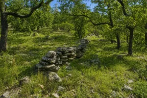 Bowie, TX 76230