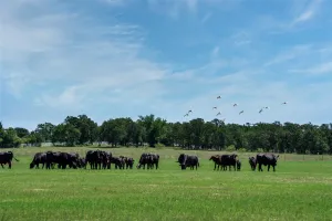 Flower Mound, TX 75022