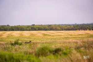 Richland Springs, TX 76871