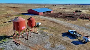 Petrolia, TX 76377