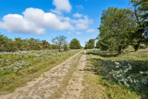 Lone Oak, TX 75453