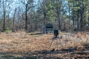 Ben Wheeler, TX 75754
