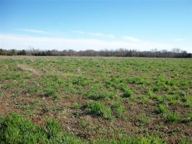 Royse City, TX 75189