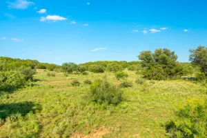 No City, TX 76827