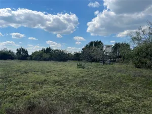 Carlton, TX 76436
