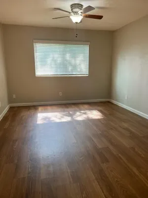 Irving, TX 75061