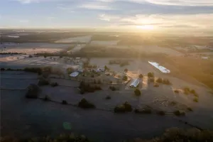 Whitewright, TX 75491