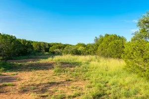 No City, TX 76827
