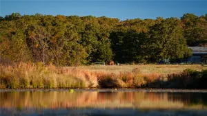 Collinsville, TX 76233
