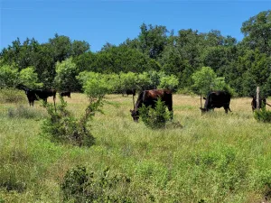 Lampasas, TX 76550