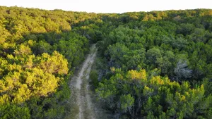 Abilene, TX 79602