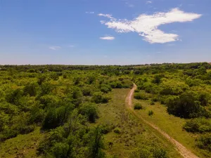 Annetta, TX 76008