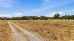 Collinsville, TX 76233