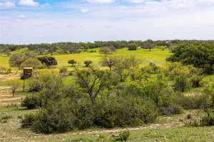 Rochelle, TX 76872