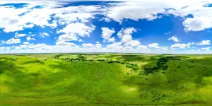 Bellevue, TX 76228