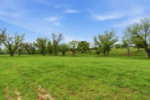 Granbury, TX 76048